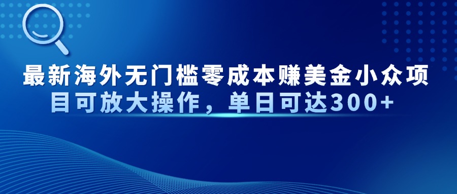 最新海外无门槛零成本赚美金小众项目可放大操作，单日可达300+-冒泡网