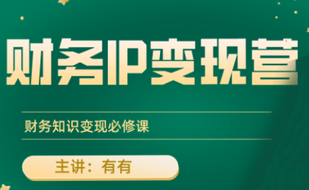 有有老师·财务IP变现营，财务知识变现必修课-冒泡网