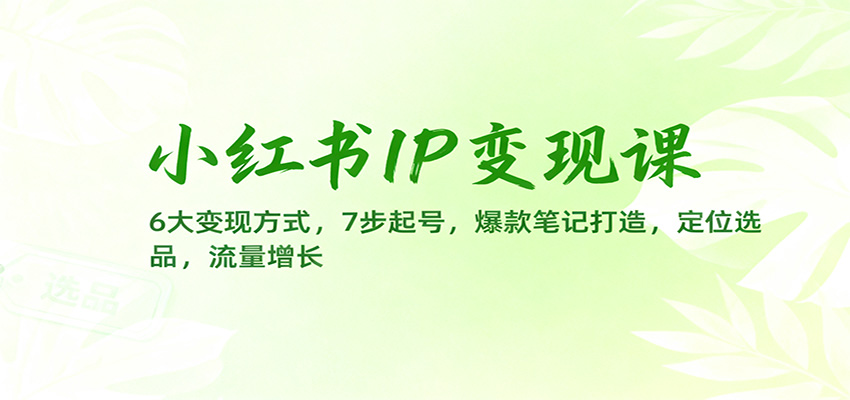 小红书IP变现课：6大变现方式，7步起号，爆款笔记打造，定位选品，流量增长-冒泡网