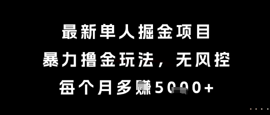 最新单人掘金项目，暴力撸金玩法，无风控，每个月多挣5k+【揭秘】-冒泡网