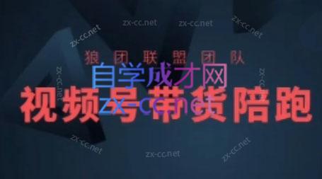 狼团联盟·2024视频号带货-冒泡网