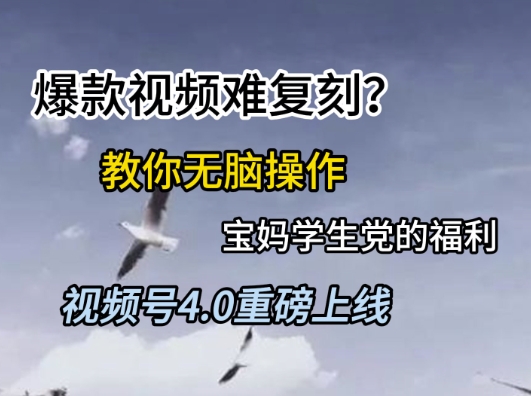 视频号4.0重磅上线，爆款视频难复刻？教你无脑操作宝妈学生党的福利【揭秘】-冒泡网