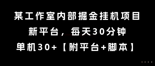 某工作室内部掘金挂G项目，新平台，每天30分钟，单机30+【揭秘】-冒泡网
