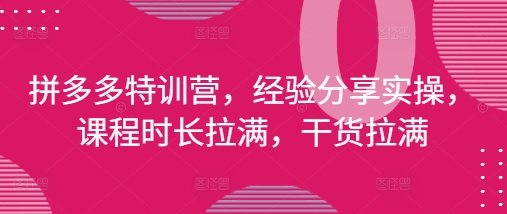 拼多多特训营，经验分享实操，课程时长拉满，干货拉满(更新25年4月)-冒泡网