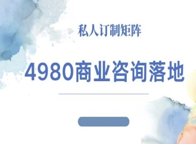 4980商业咨询师落地课程-ip运营高客单教程-冒泡网