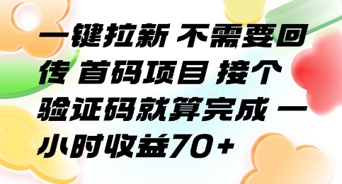一键拉新 不需要回传 首码项目 接个验证码就算完成 一小时收益70+【揭秘】-冒泡网