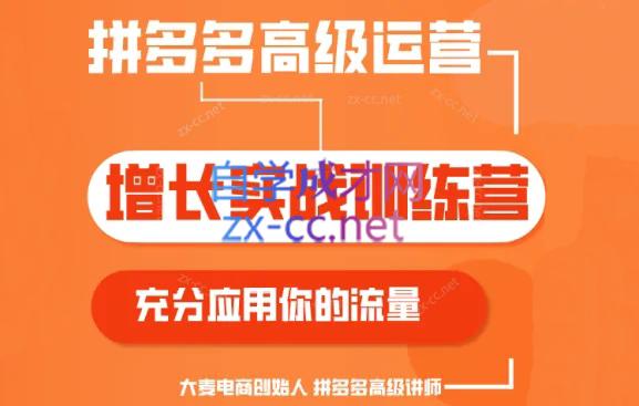 大麦老师·拼多多单品爆款打造课程(更新6月)-冒泡网