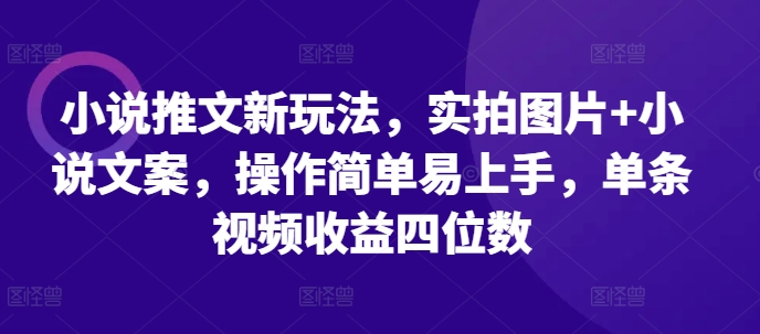 小说推文新玩法，实拍图片+小说文案，操作简单易上手，单条视频收益四位数-冒泡网