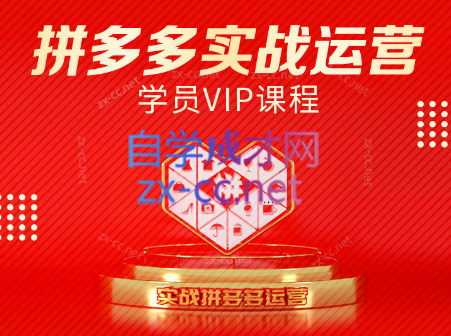 推易电商·拼多多实战运营课(更新2025月)-冒泡网