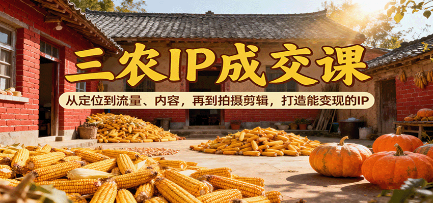 三农IP成交课：从定位到流量、内容，再到拍摄剪辑，打造能变现的IP-冒泡网