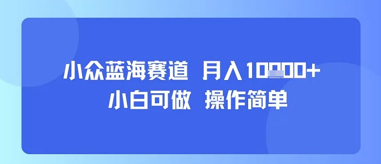 小众蓝海赛道，小白可做，操作简单，每天30分钟，月入1W+-冒泡网