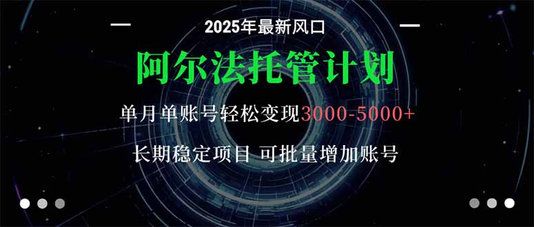 阿尔法托管计划 单账号月入3000-5000，长期稳定项目，新手小白轻松上手。-冒泡网