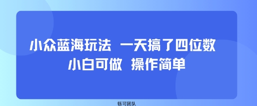 小众蓝海玩法 一天搞了四位数 小白可做 操作简单-冒泡网