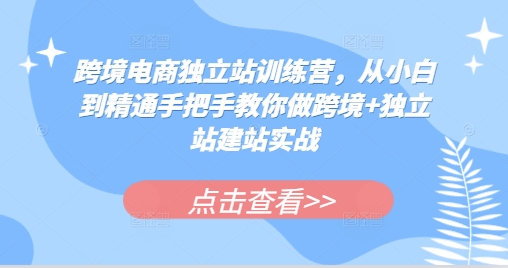 跨境电商独立站训练营，从小白到精通手把手教你做跨境+独立站建站实战-冒泡网