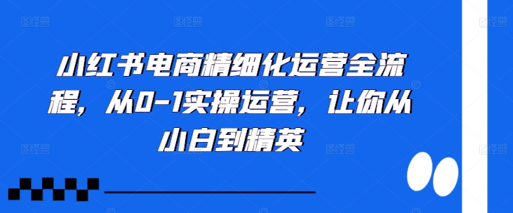 小红书电商精细化运营全流程，从0-1实操运营，让你从小白到精英-冒泡网