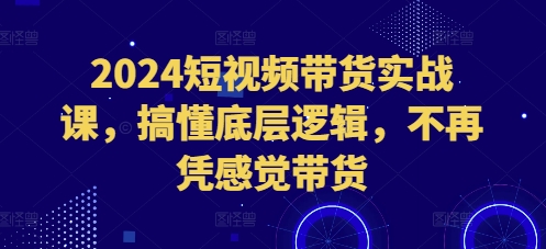 2024短视频带货实战课，搞懂底层逻辑，不再凭感觉带货-冒泡网