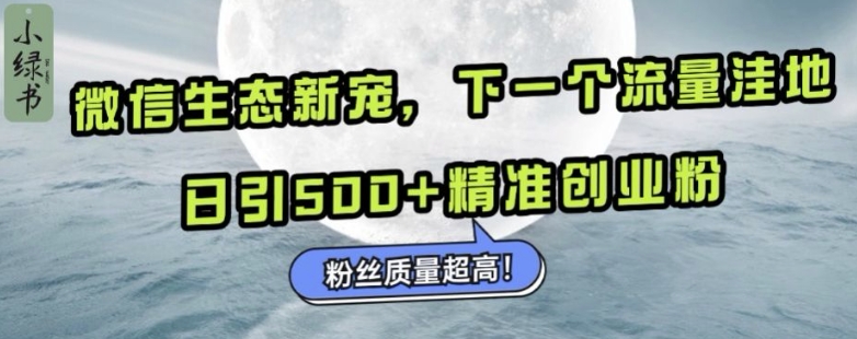 微信生态新宠小绿书：下一个流量洼地，日引500+精准创业粉，粉丝质量超高-冒泡网