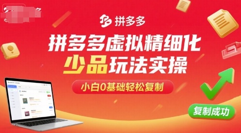 拼多多虚拟精细化少品玩法实操，小白0基础轻松复制-冒泡网