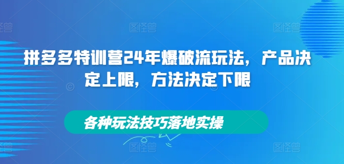 拼多多特训营24年爆破流玩法，产品决定上限，方法决定下限，各种玩法技巧落地实操-冒泡网