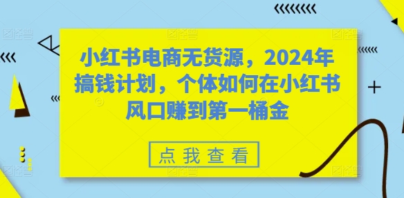 小红书电商无货源，2024年搞钱计划，个体如何在小红书风口赚到第一桶金-冒泡网