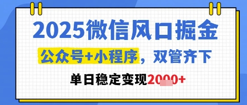 2025微信风口掘金，公众号+小程序双管齐下，单日稳定变现1k+【揭秘】-冒泡网