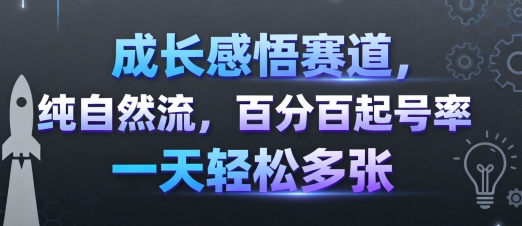 成长感悟赛道，纯自然流，百分百起号率 一天轻松多张-冒泡网