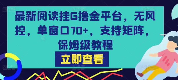 最新阅读挂G撸金平台，无风控，单窗口70+，支持矩阵，保姆级教程【揭秘】-冒泡网