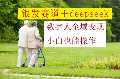 银发赛道+deepseek数字人全域变现，小白也能操作-冒泡网