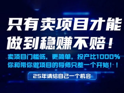 只有卖项目才能做到稳挣不赔，门槛低，更简单，你也可以年入百个W【揭秘】-冒泡网