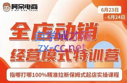 阿呆电商·全店动销经营模式特训营(线下录音+思维导图)-冒泡网