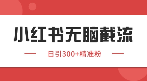 小红书截流同行客源，独家野路子获客玩法 日引200+暴力获客【揭秘】-冒泡网