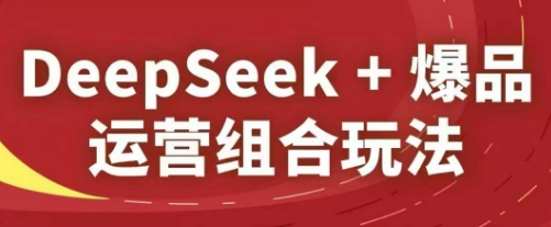 DeepSeek+爆品运营组合玩法，2025淘系精品课-冒泡网