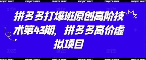 拼多多打爆班原创高阶技术第43期，拼多多高价虚拟项目-冒泡网