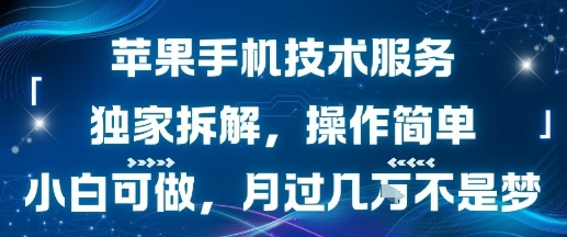 苹果手机技术服务，独家拆解，操作简单，小白可做，月过1W不是梦-冒泡网