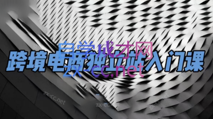 团长·跨境电商独立站入门课(2小时精华)-冒泡网