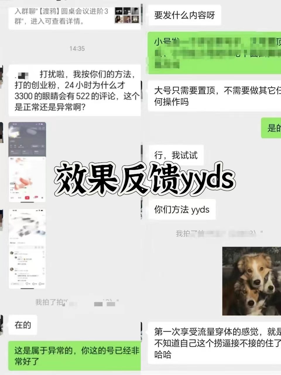 图片[3]-抖音小红书视频号全平台引流打法，全自动引流日引2000+精准客户-冒泡网