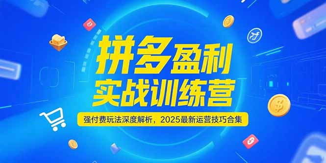拼多多盈利实战训练营，强付费玩法深度解析，2025运营技巧合集-更新6月-冒泡网