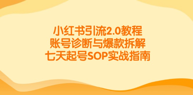 小红书引流2.0教程，账号诊断与爆款拆解，七天起号SOP实战指南-冒泡网
