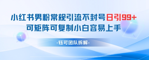小红书男粉常规引流不封号日引99+变现简单 可矩阵可复制小白容易上手-冒泡网