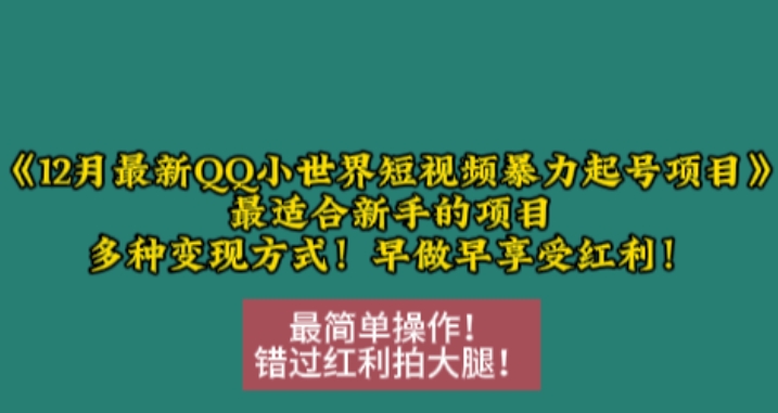 12月最新QQ小世界短视频暴力起号项目，最适合新手的项目，多种变现方式-冒泡网
