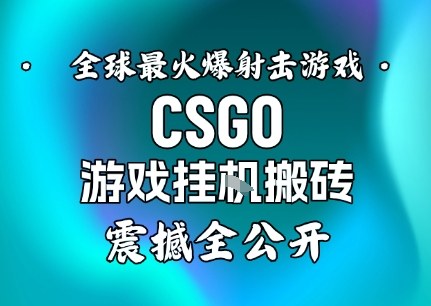 【年底大揭秘】基于全球最火爆的射击CSGO游戏挂G搬砖，日入5张+，震撼公开-冒泡网