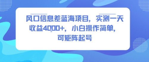 风口信息差蓝海项目，实测一天收益4k+，小白操作简单，可矩阵起号-冒泡网