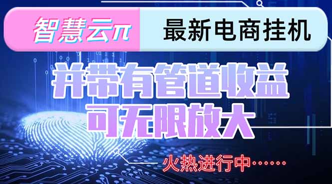智慧云π电脑挂机单机每天收益300—500+ 并带有团队管道收益 可无限放大-冒泡网