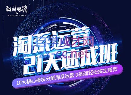 淘系运营21天速成班(更新24年6月)-冒泡网