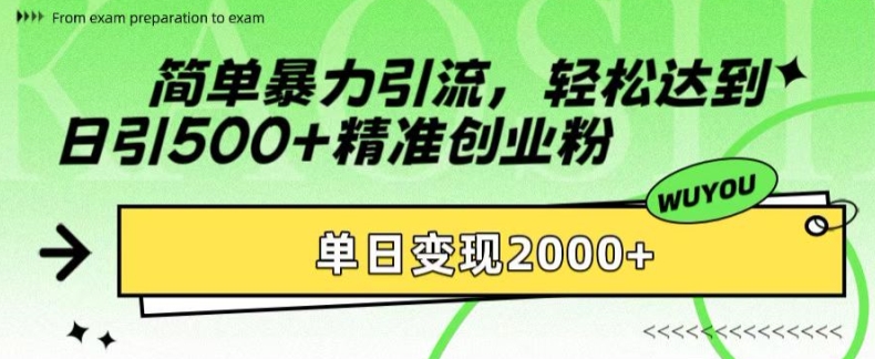 简单暴力引流，轻松达到日引500+精准创业粉，单日变现2k【揭秘】-冒泡网