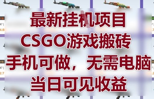 最新挂G项目，CSGO游戏搬砖，手机可做，无需电脑，当日见收益【揭秘】-冒泡网